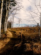 Harz