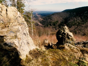 Harz